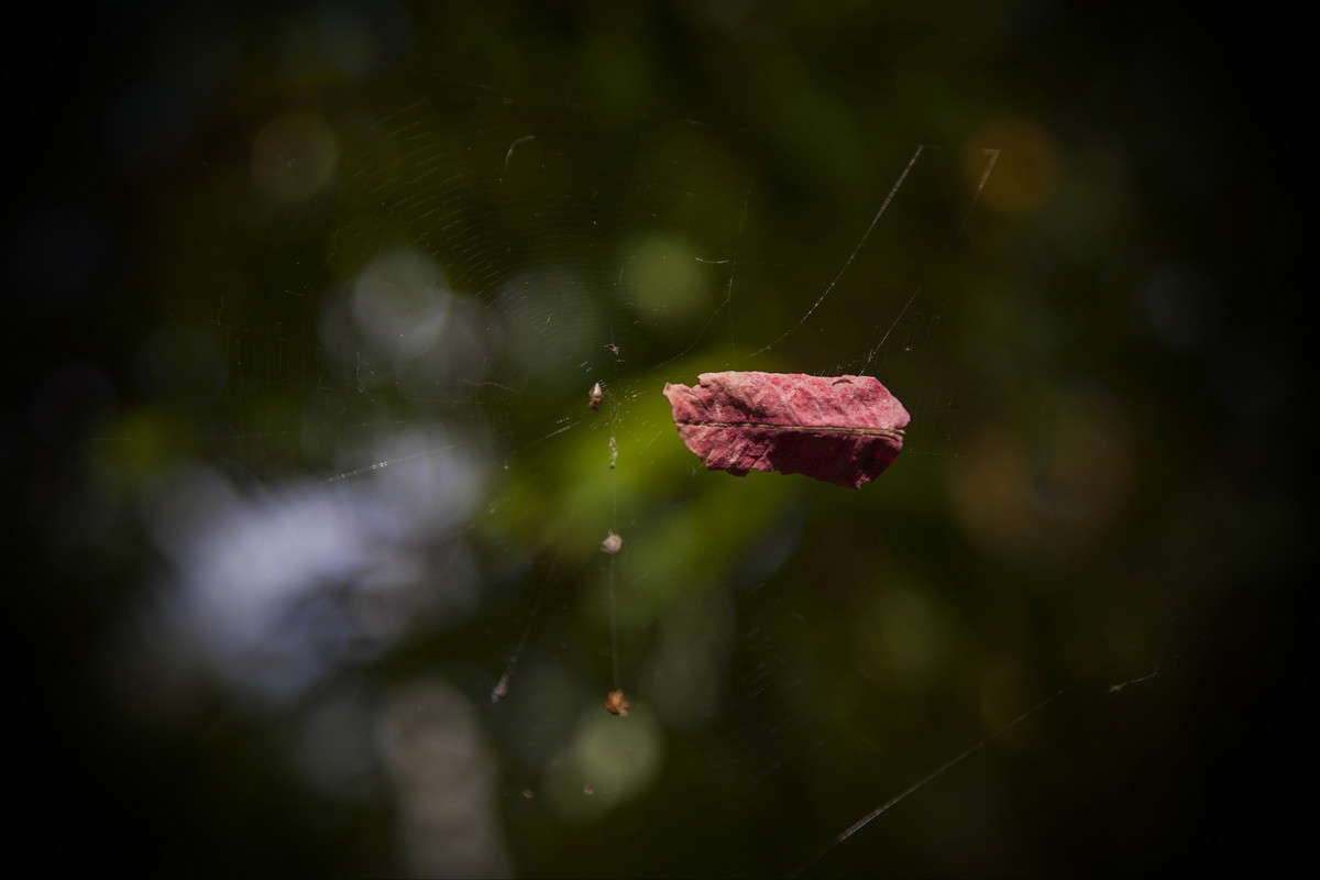 ... ����� alex  �� PhotoGeek.ru #������ ��� �������