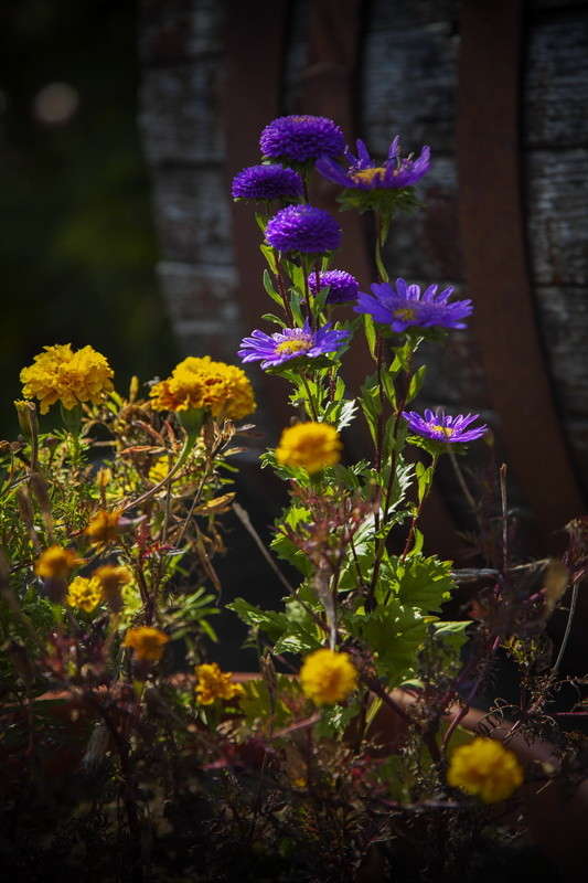 ... ����� alex  �� PhotoGeek.ru #������ ��� �������