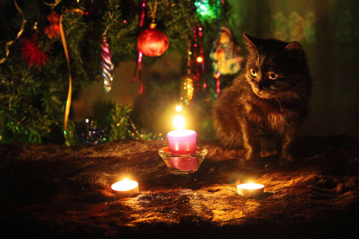 ... ����� alex  �� PhotoGeek.ru #�������� ���