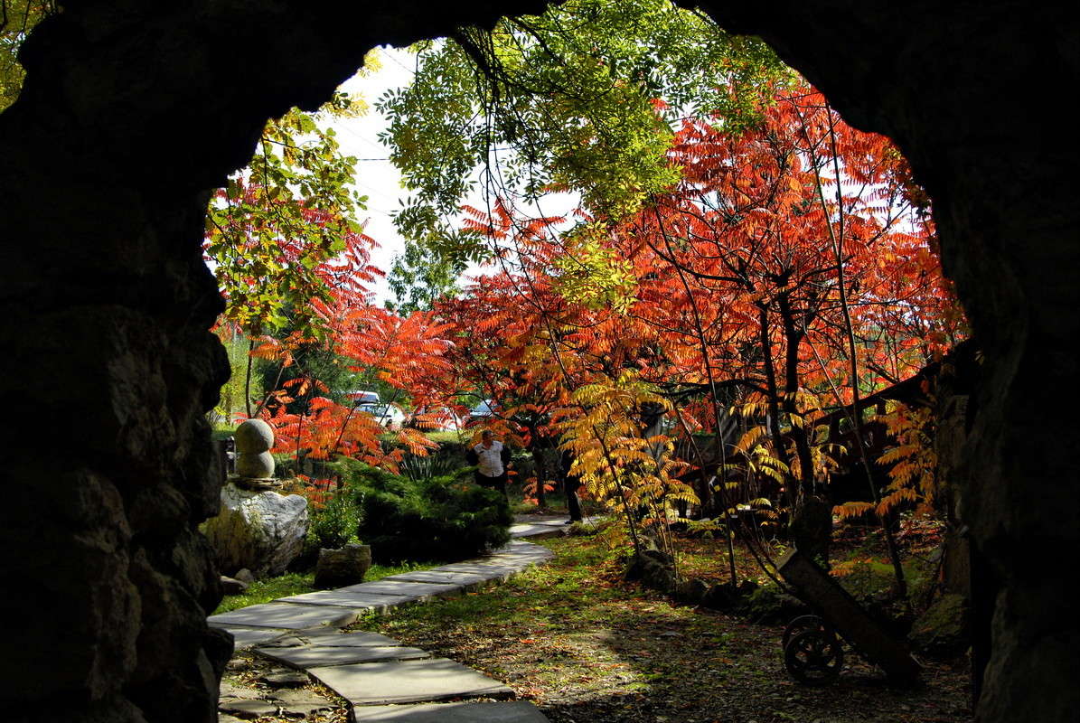 ... ����� alex  �� PhotoGeek.ru #������ ��� �������