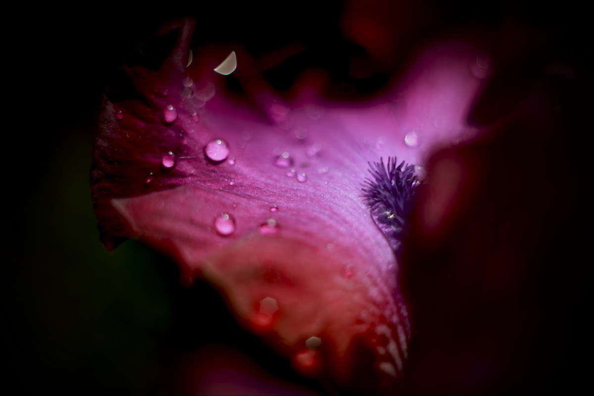 ... ����� alex  �� PhotoGeek.ru #�����