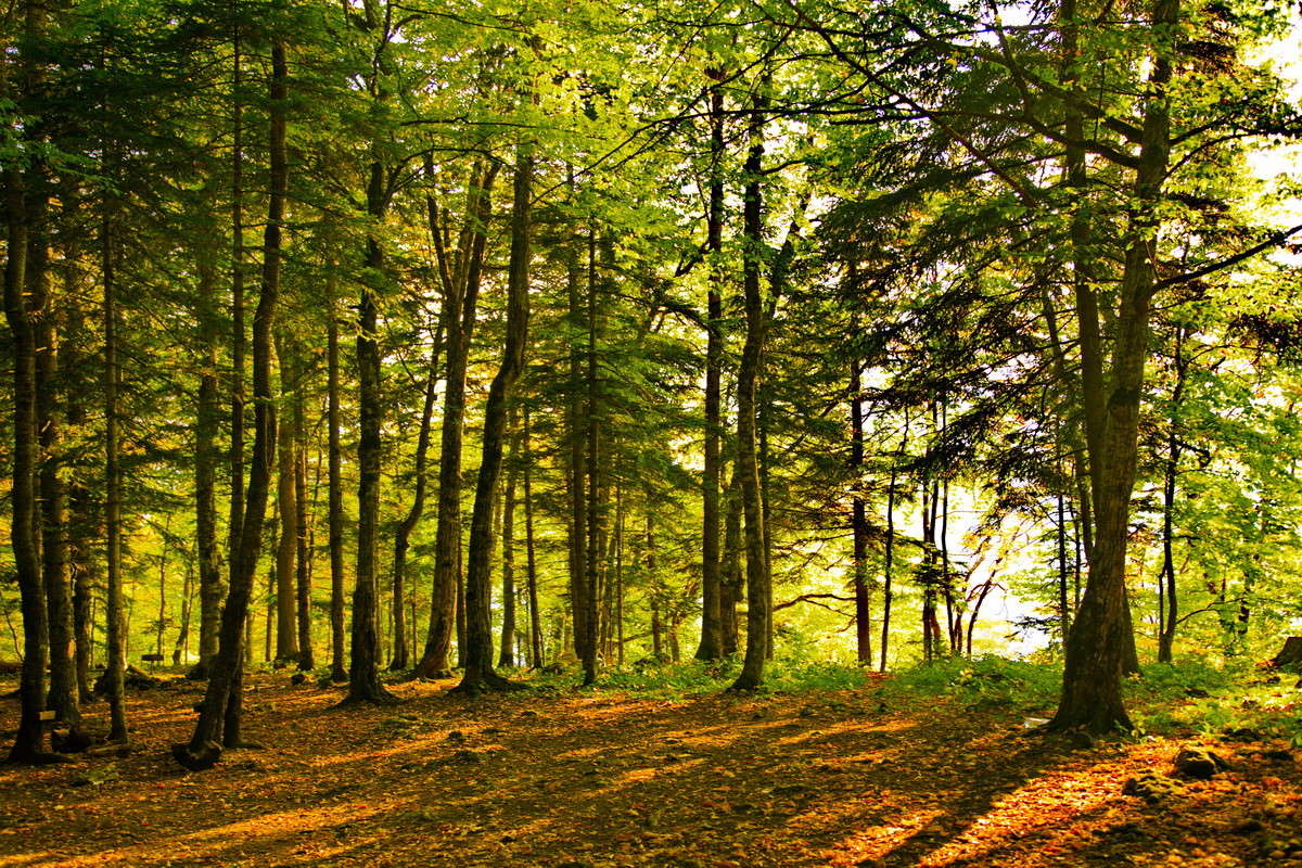 ... ����� alex  �� PhotoGeek.ru #������ ��� �������