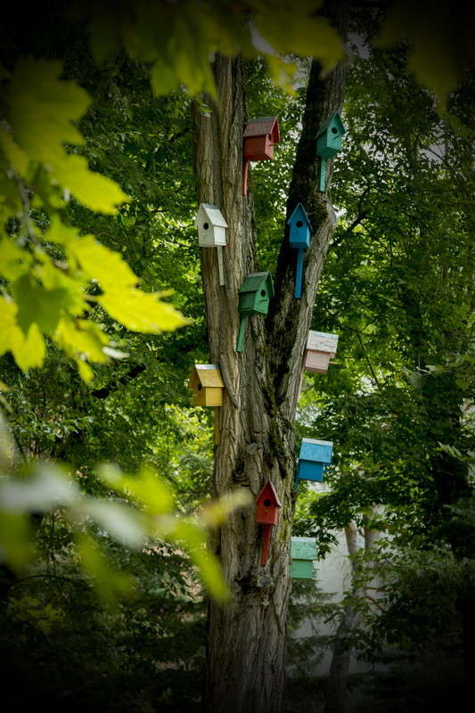 ... ����� alex  �� PhotoGeek.ru #������ ��� �������