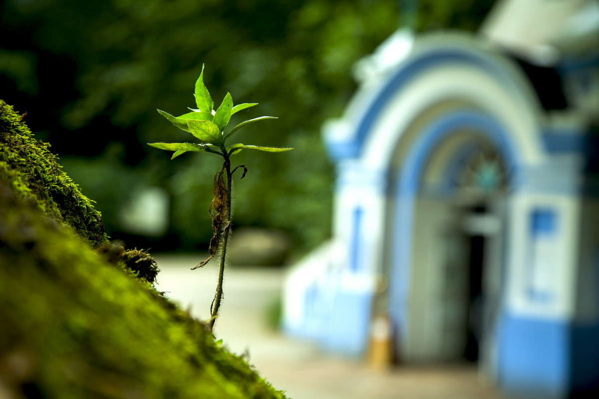 ... ����� alex  �� PhotoGeek.ru #������ ��� �������