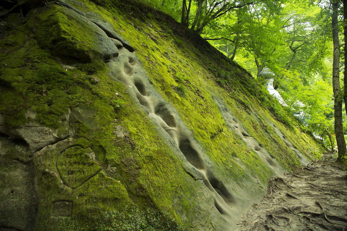 ... ����� alex  �� PhotoGeek.ru #������ ��� �������