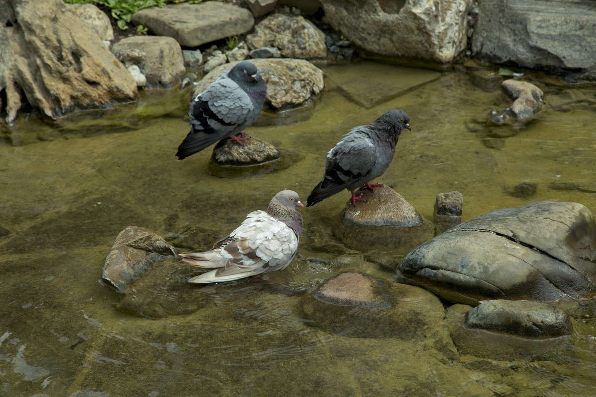 ... ����� alex  �� PhotoGeek.ru #������ ��� �������