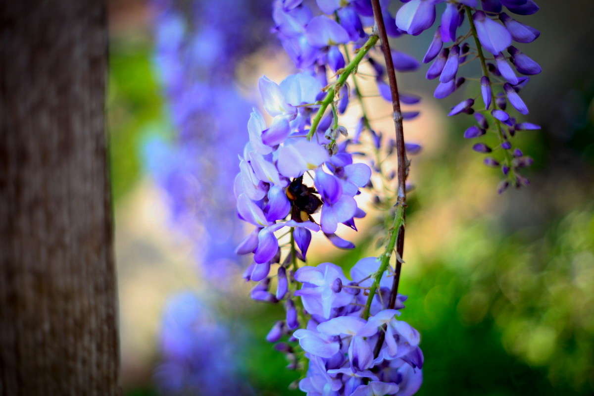 ... ����� alex  �� PhotoGeek.ru #�����