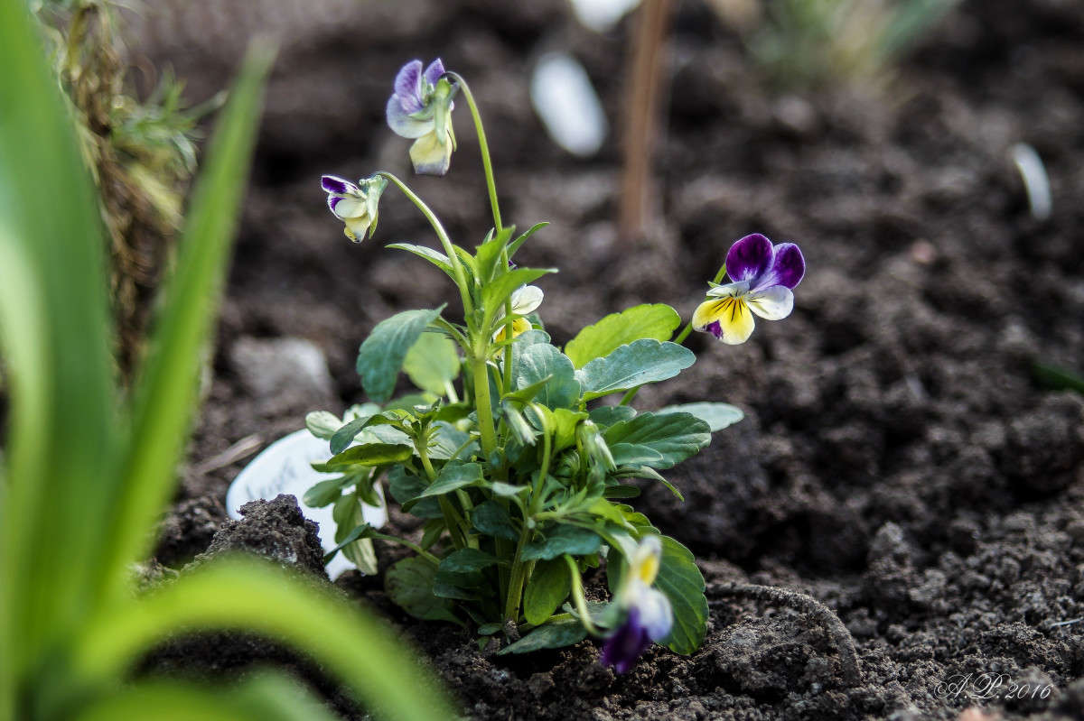 ������� ������ ����� �������� �. �� PhotoGeek.ru #������ ��� ������� #���������