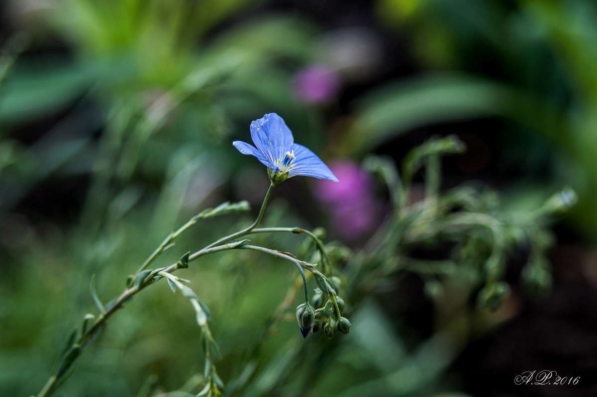 ��� ����� �������� �. �� PhotoGeek.ru #������ ��� �������