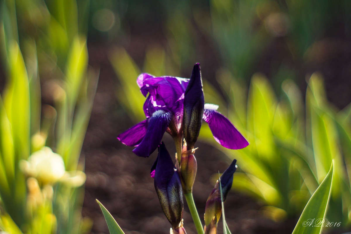 ���� ����� �������� �. �� PhotoGeek.ru #������ ��� �������