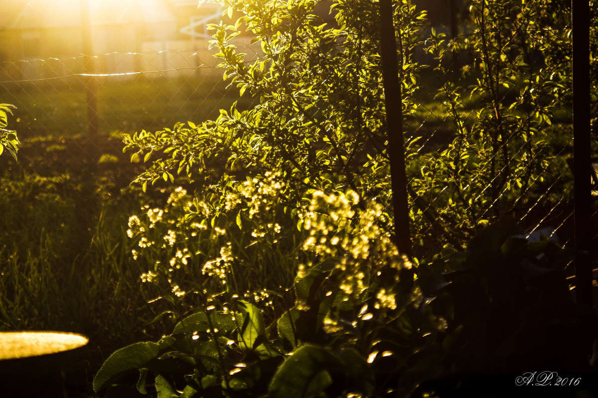 �����... ����� �������� �. �� PhotoGeek.ru #������ ��� �������