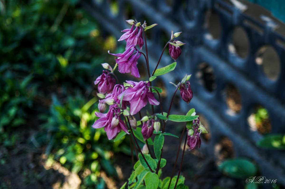 ��������� ����� �������� �. �� PhotoGeek.ru #������ ��� �������