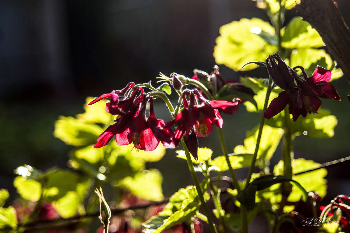 ��������� ����� �������� �. �� PhotoGeek.ru #������ ��� �������