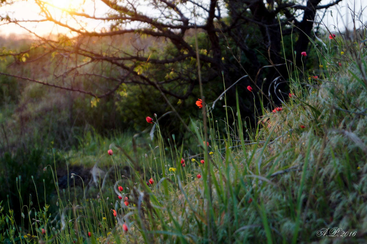 ����� � ����� ����� �������� �. �� PhotoGeek.ru #������ ��� �������