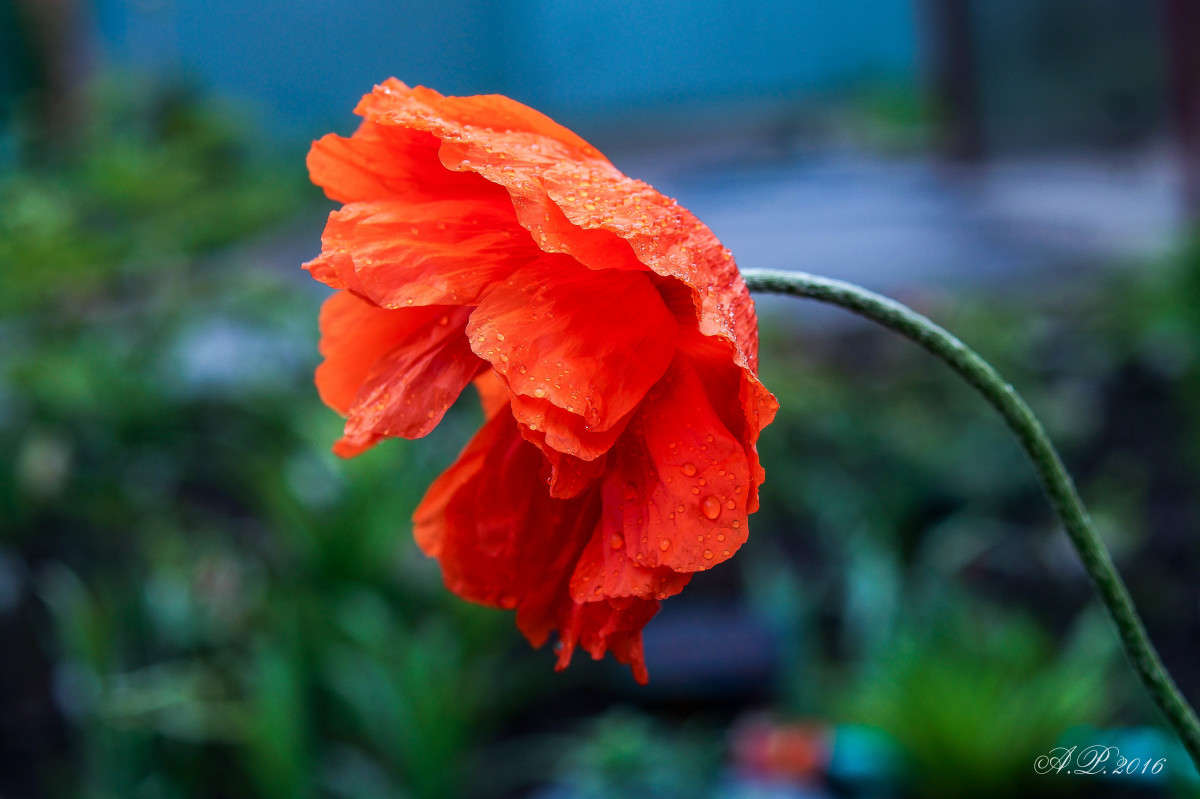 ��� ����� �������� �. �� PhotoGeek.ru #������ ��� �������