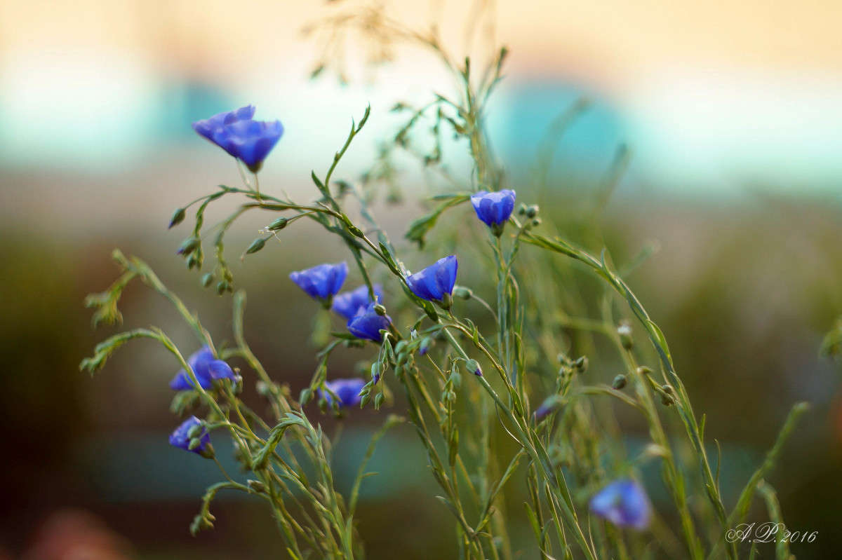 ���. ����� �������� �. �� PhotoGeek.ru #������ ��� �������