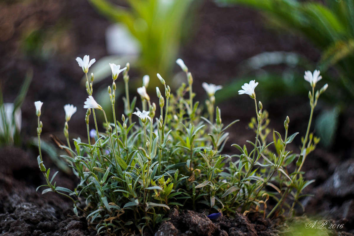 �������� ����� �������� �. �� PhotoGeek.ru #������ ��� �������