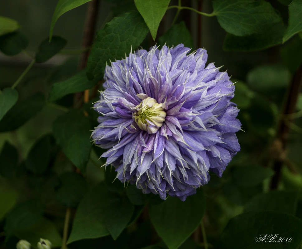 �������� ��� ����. ����� �������� �. �� PhotoGeek.ru #������ ��� �������