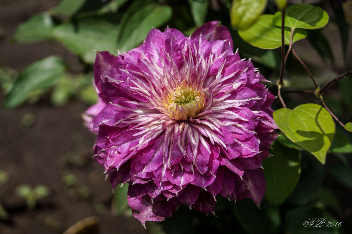 �������� ������ ����� �������� �. �� PhotoGeek.ru #������ ��� �������