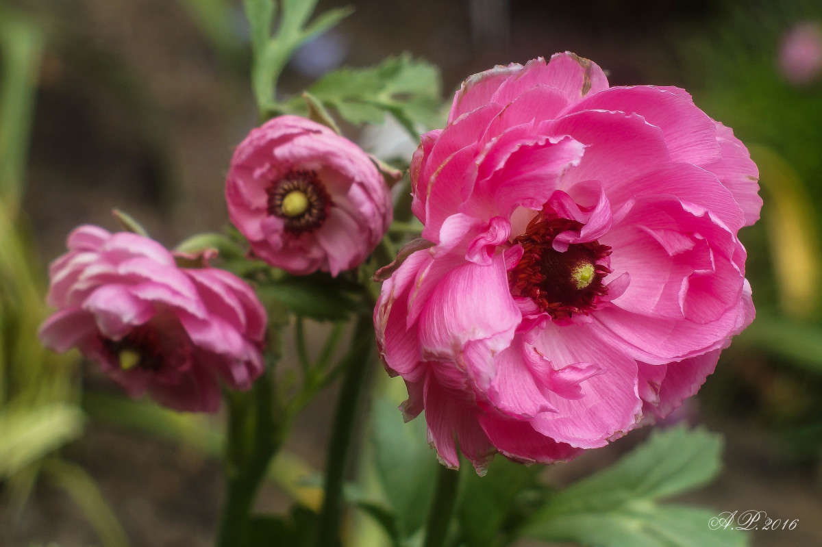 �������. ����� �������� �. �� PhotoGeek.ru #������ ��� �������