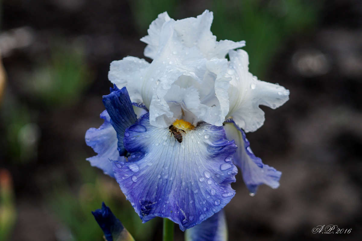 ����� ����� �������� �. �� PhotoGeek.ru #������ ��� �������