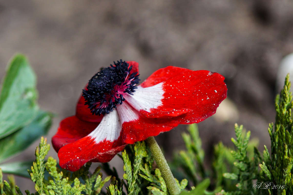 ����� ����� �������� �. �� PhotoGeek.ru #������ ��� �������