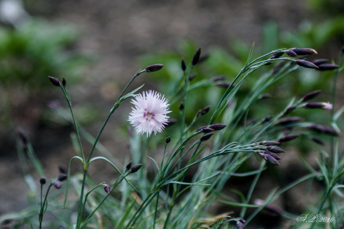 ��������� ����� �������� �. �� PhotoGeek.ru #������ ��� �������