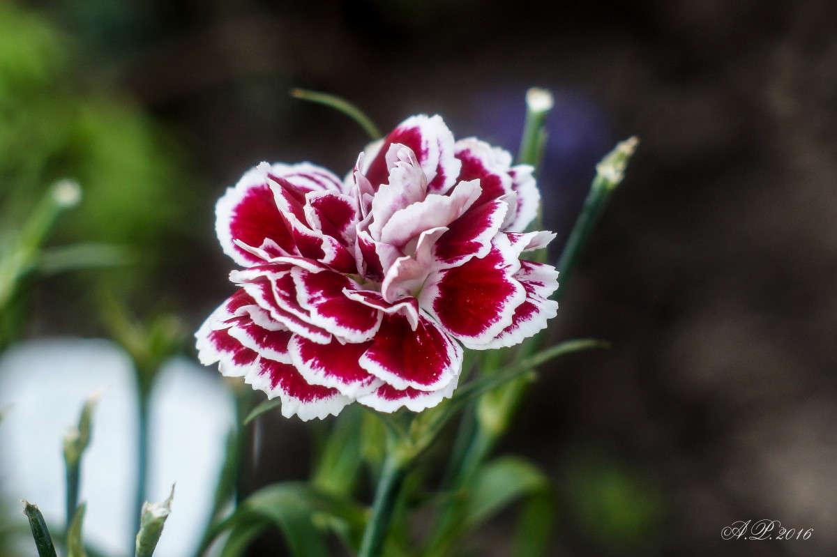 ��������� ����� �������� �. �� PhotoGeek.ru #������ ��� �������