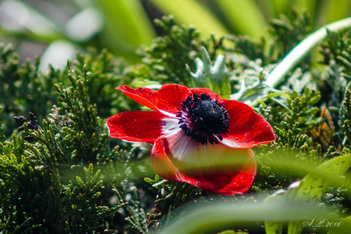 ����� ����� �������� �. �� PhotoGeek.ru #������ ��� �������