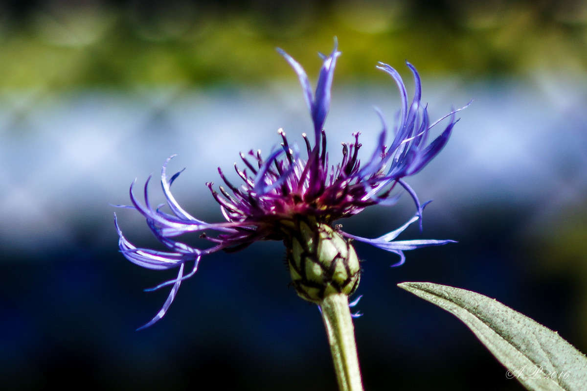 ����� ����� �������� �. �� PhotoGeek.ru #������ ��� �������