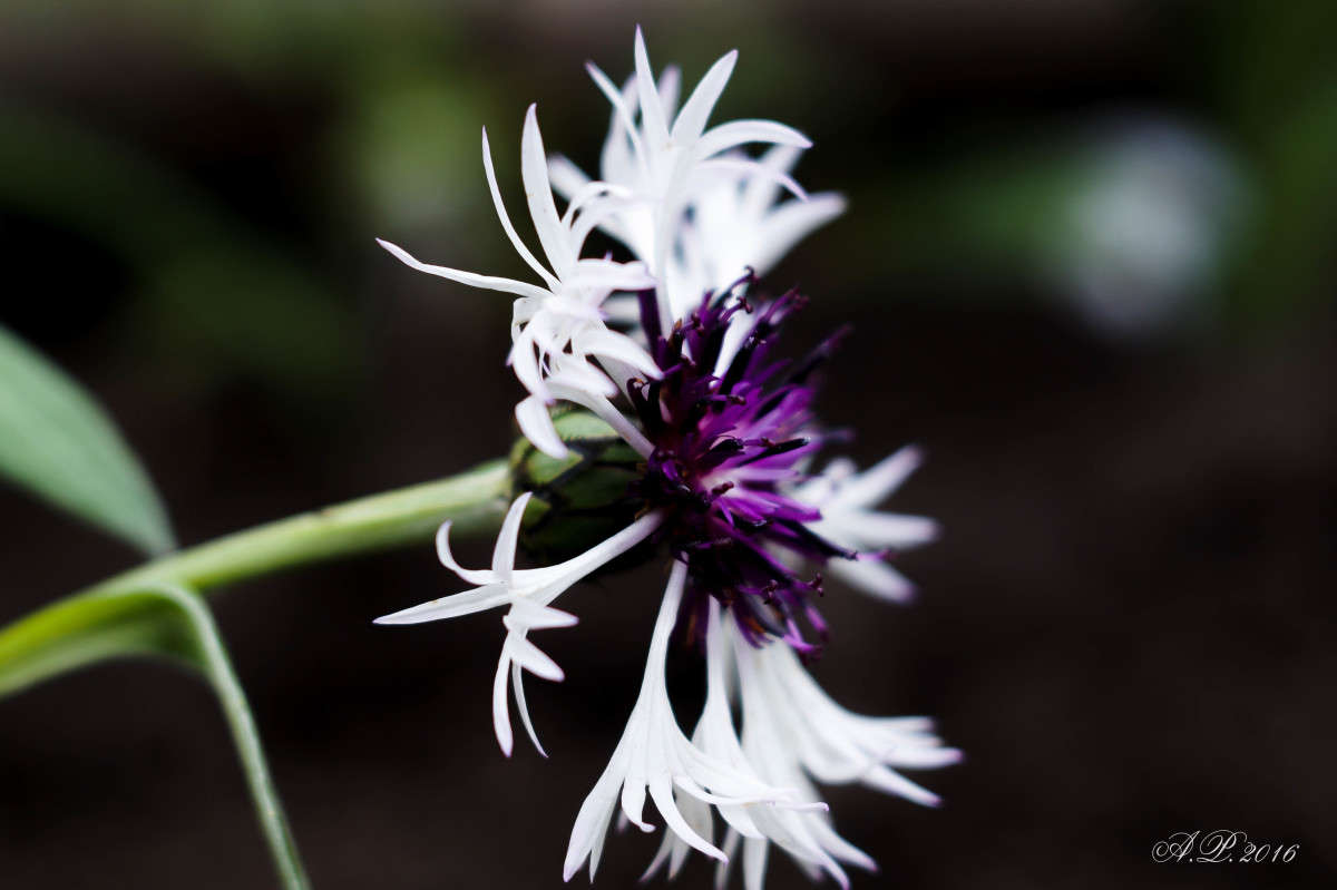 ... ����� �������� �. �� PhotoGeek.ru #������ ��� �������