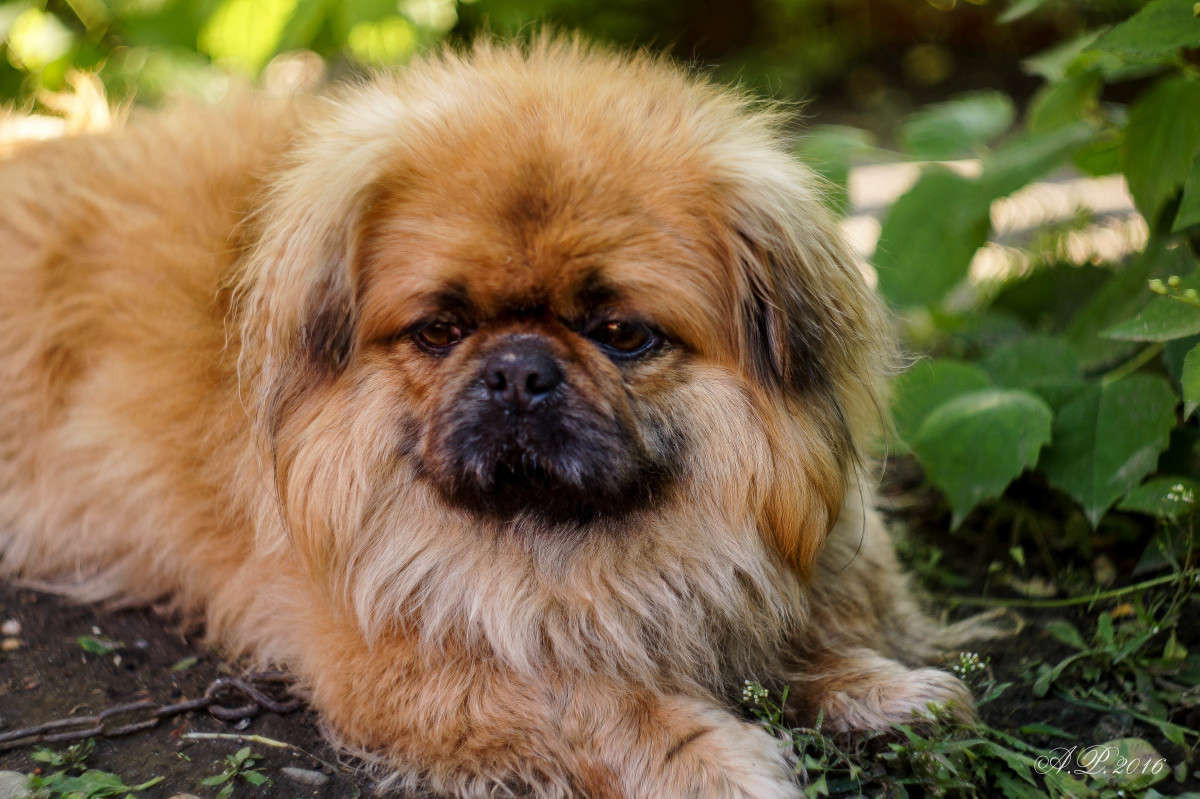 ������. ����� �������� �. �� PhotoGeek.ru #�������� ���