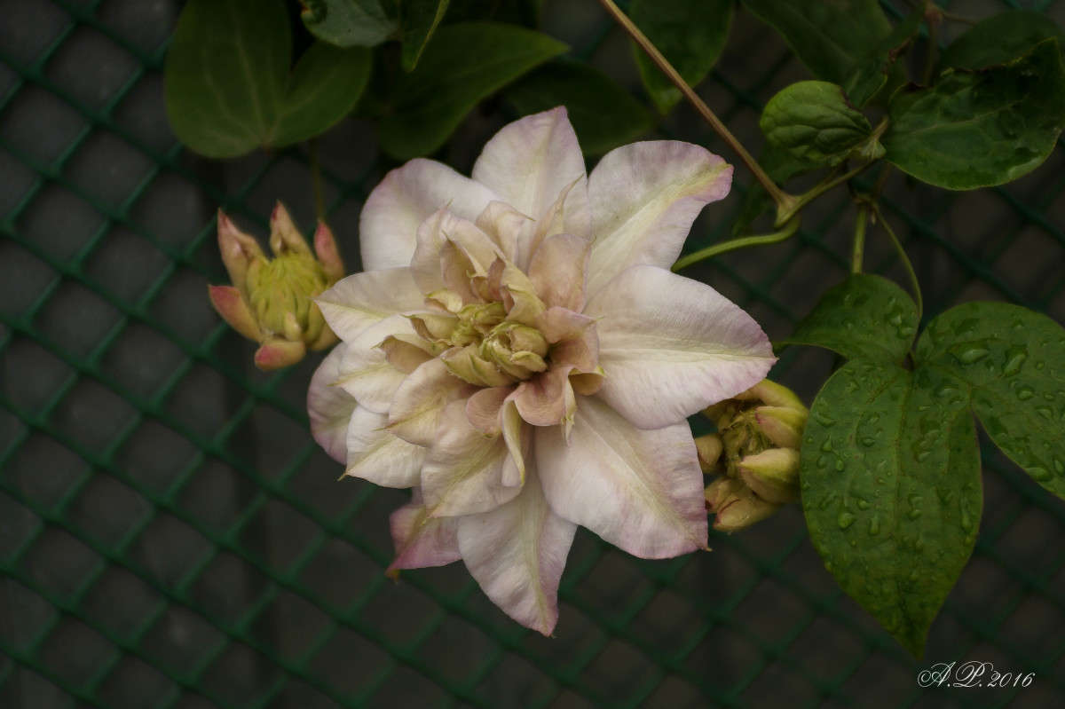 �������� ����� �������� �. �� PhotoGeek.ru #������ ��� �������