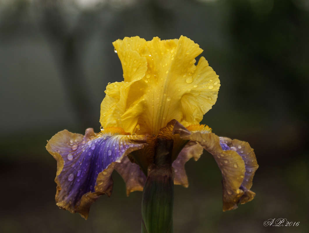 ���� ����� �������� �. �� PhotoGeek.ru #������ ��� �������