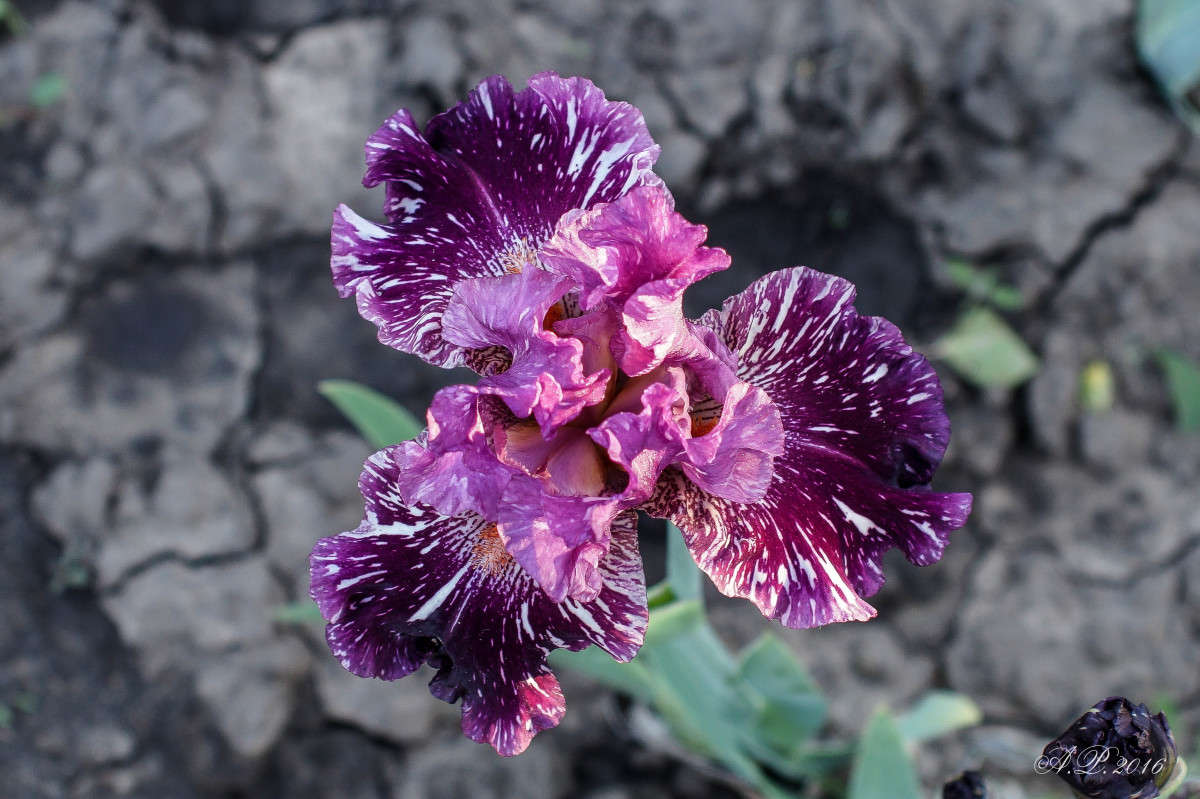 ����. ����� �������� �. �� PhotoGeek.ru #������ ��� �������