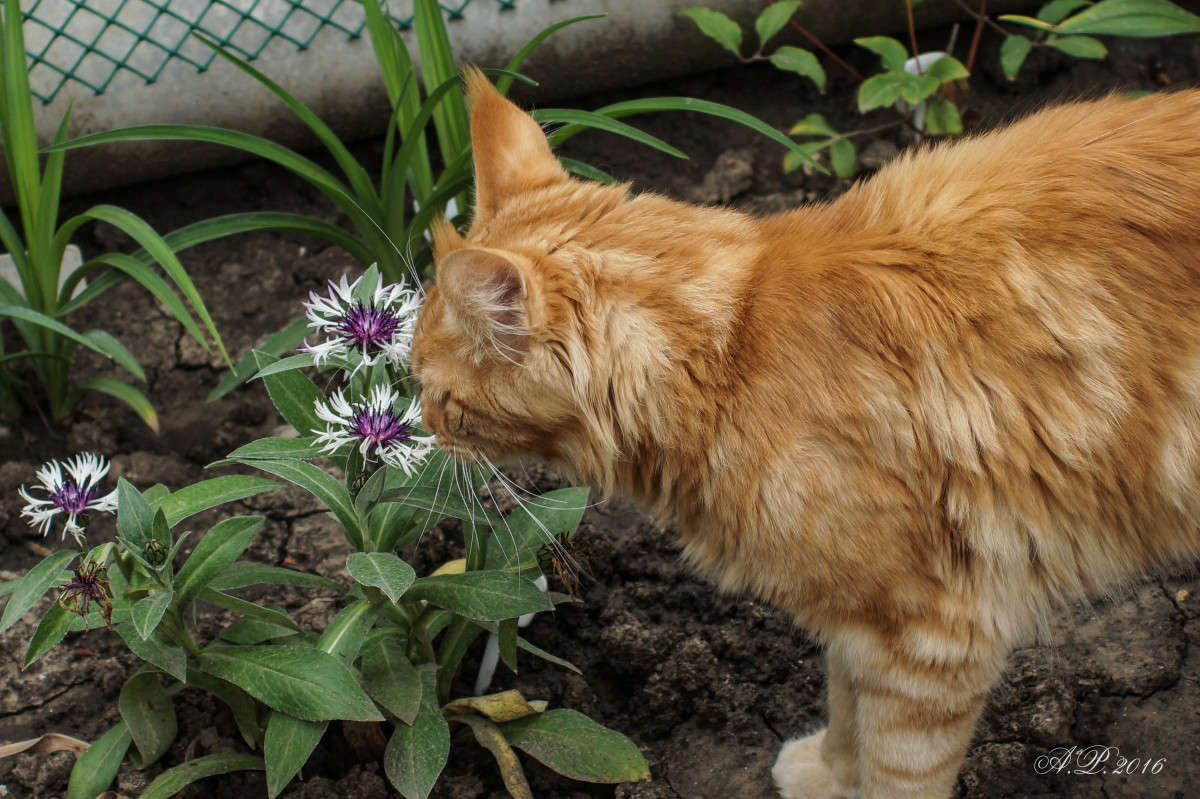 ������ ����� �������� �. �� PhotoGeek.ru #�������� ���