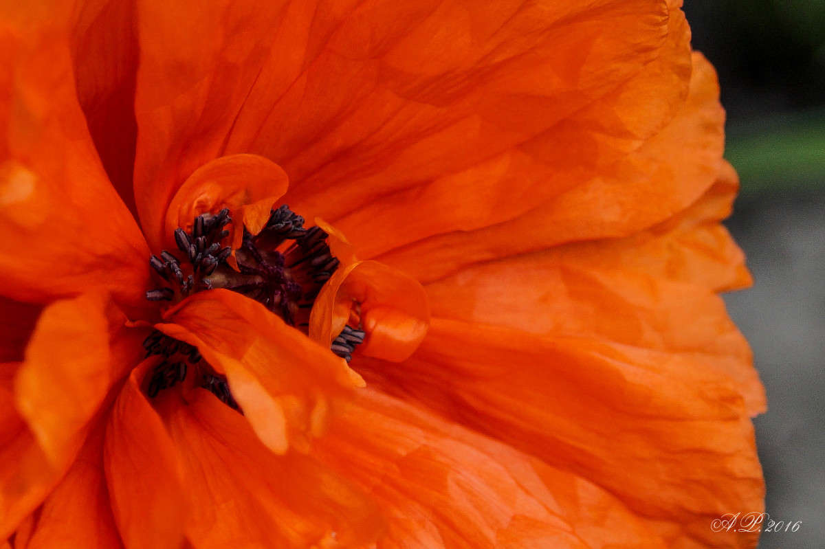 ��� ����� �������� �. �� PhotoGeek.ru #������ ��� �������