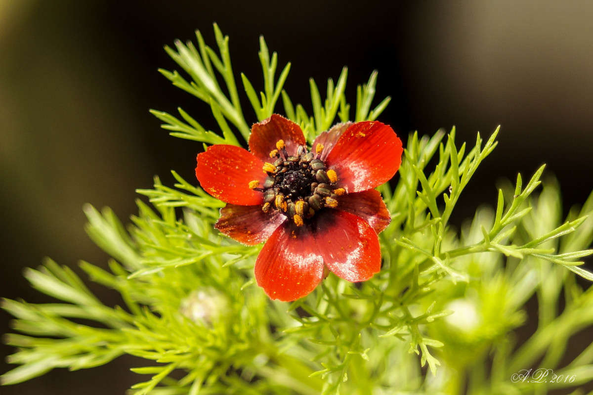 ������. ����� �������� �. �� PhotoGeek.ru #�����