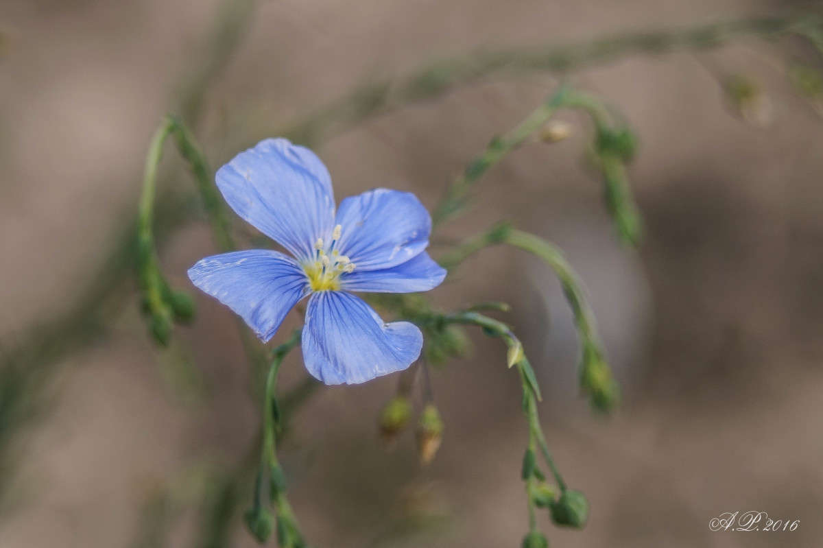 ���. ����� �������� �. �� PhotoGeek.ru #�����