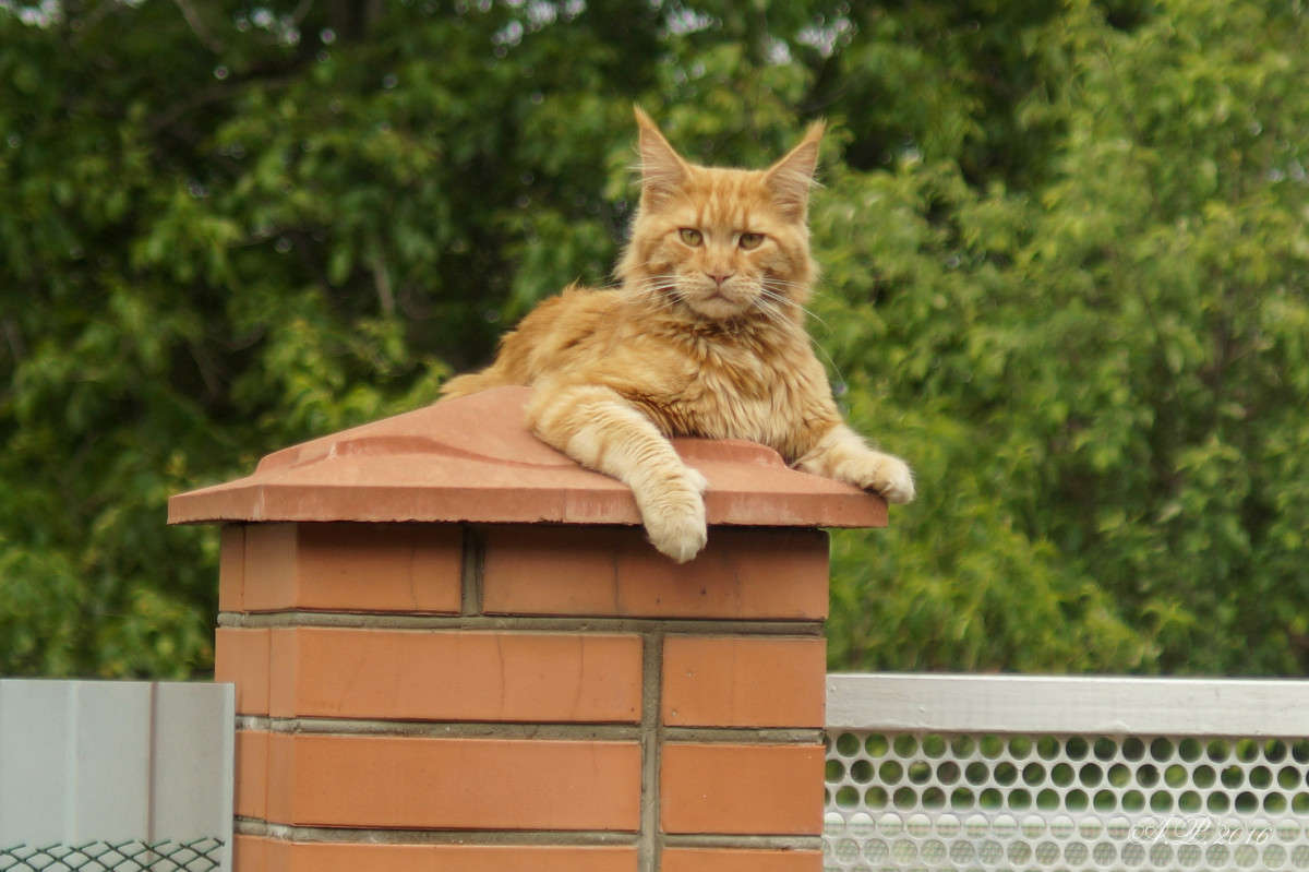 ������ ����� �������� �. �� PhotoGeek.ru #�������� ���