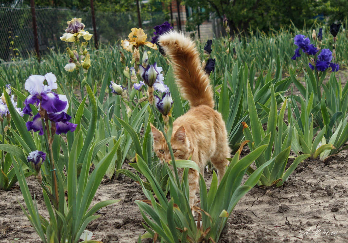 ������ ����� �������� �. �� PhotoGeek.ru #�������� ���