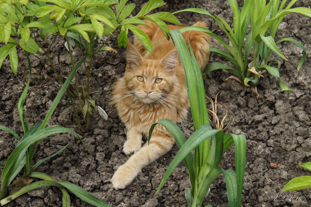 ������ ����� �������� �. �� PhotoGeek.ru #�������� ���