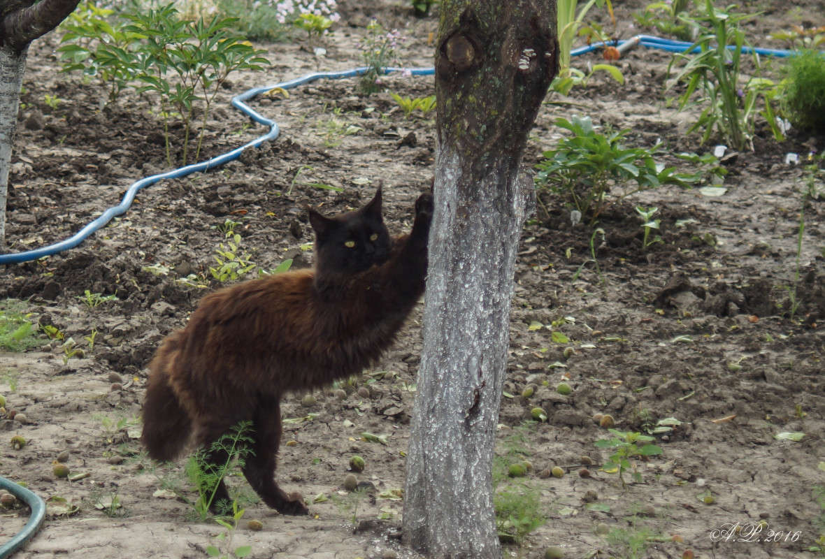 ������ ����� �������� �. �� PhotoGeek.ru #�������� ���