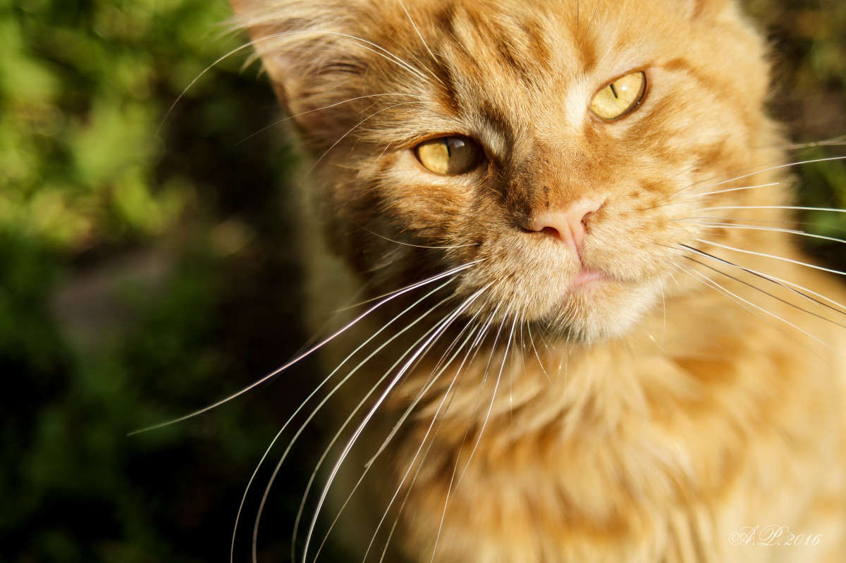 ������ ����� �������� �. �� PhotoGeek.ru #�������� ���