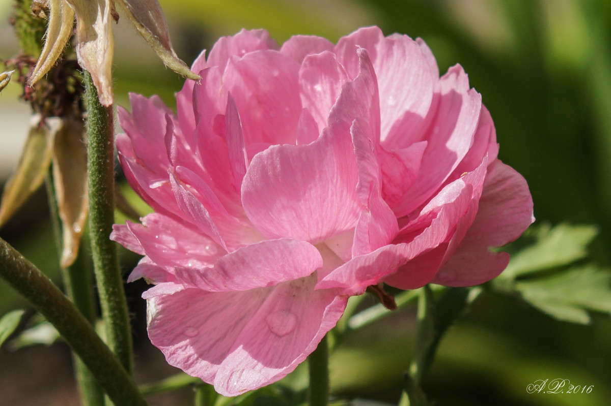 �������. ����� �������� �. �� PhotoGeek.ru #����� #������ ��� �������