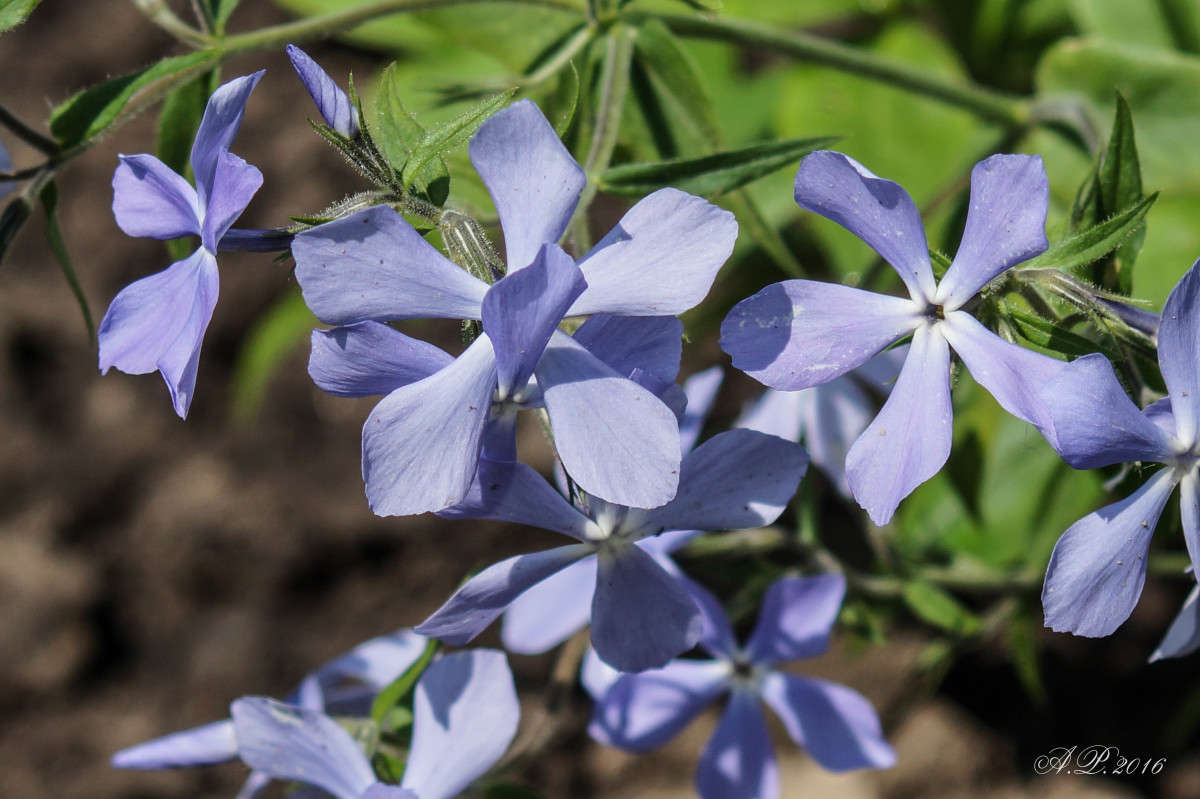 �����. ����� �������� �. �� PhotoGeek.ru #�����