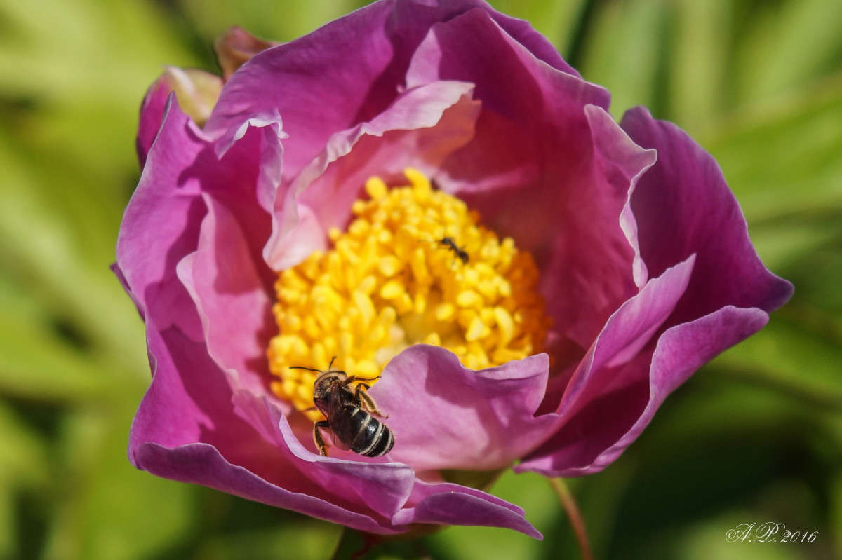 ����. ����� �������� �. �� PhotoGeek.ru #�����