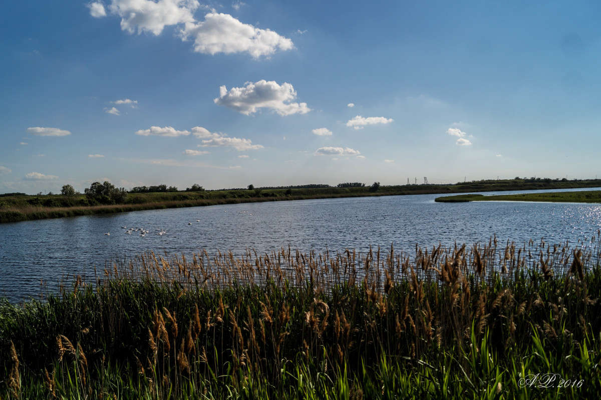 ... ����� �������� �. �� PhotoGeek.ru #������ ��� �������