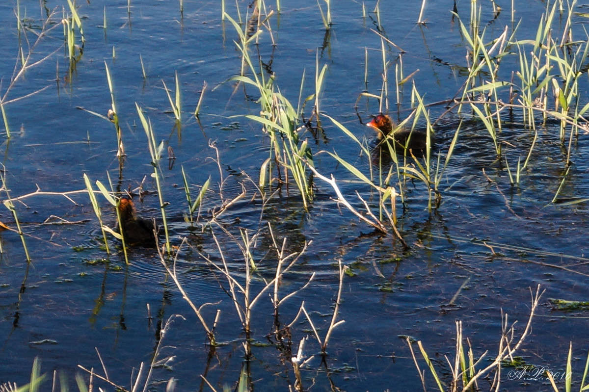 ������ ����� �������� �. �� PhotoGeek.ru #�������� ���