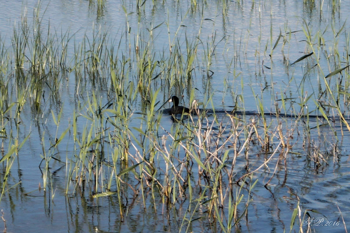 ������. ����� �������� �. �� PhotoGeek.ru #�������� ���